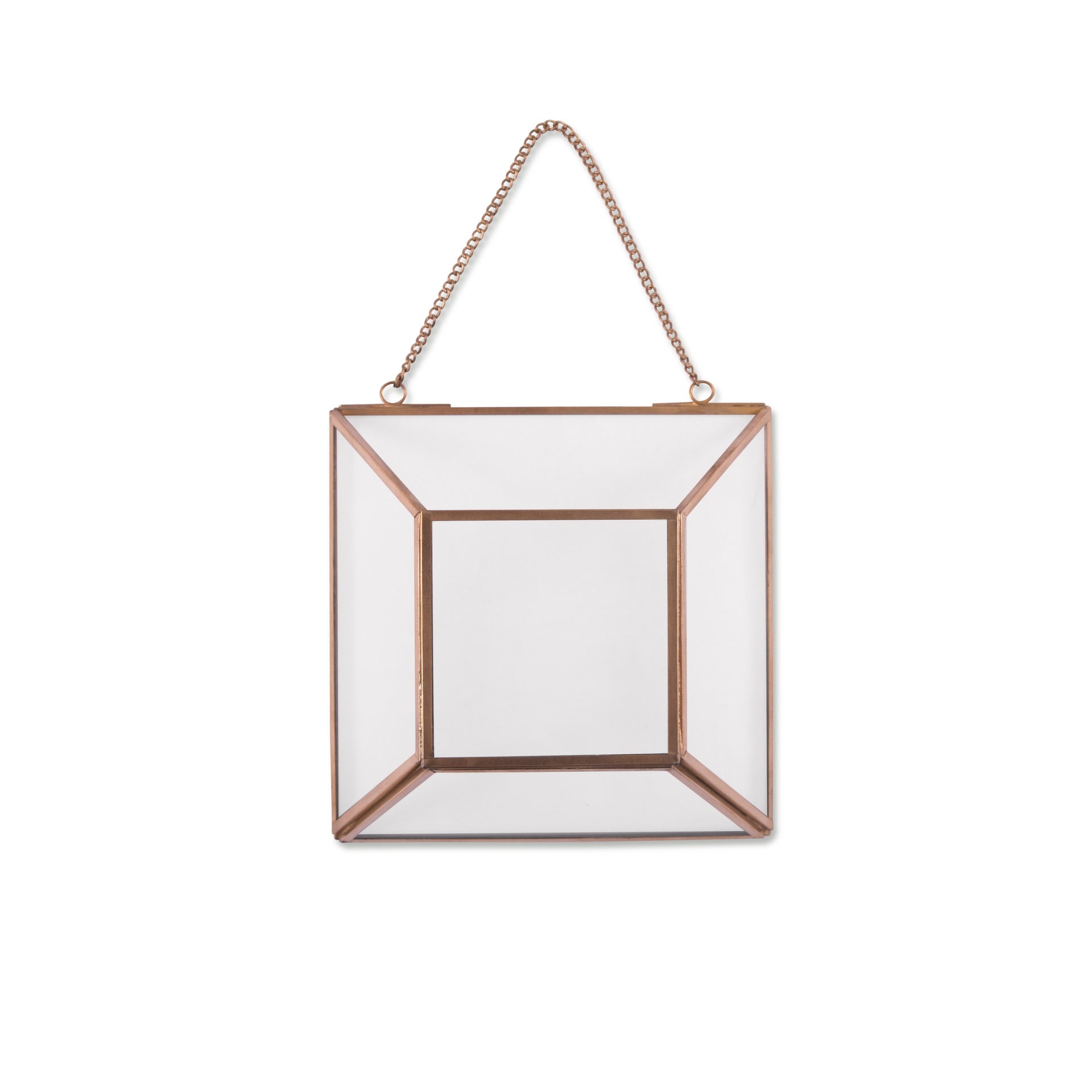 Hanging Glass Terrarium