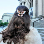 Hand-Painted Emperor Silk Moth Claw Hair Clip