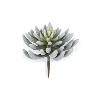 ***Succulent Stem #4