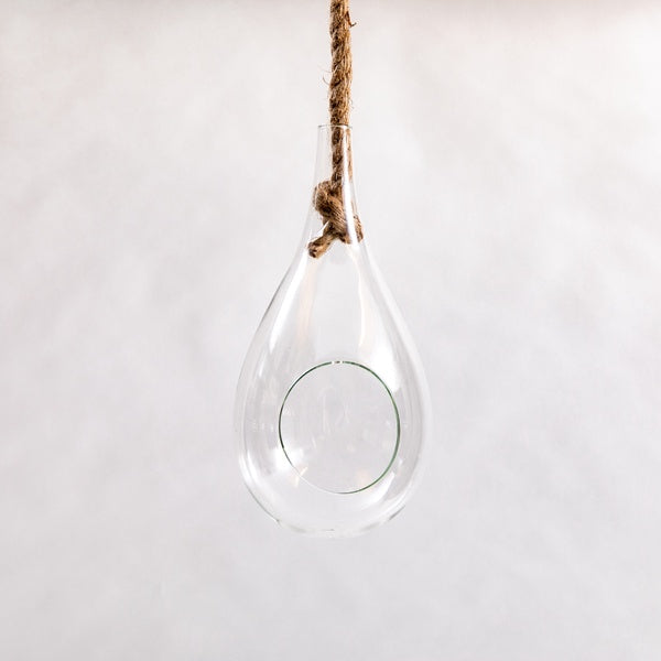 Hanging Terrarium