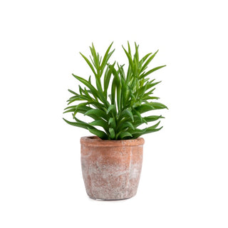 ***Faux Senecio Succulent Pick