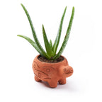 Rakshana Turtle Plant Pot - Terracotta