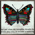 Butterfly (Grey Wood) - Art Print