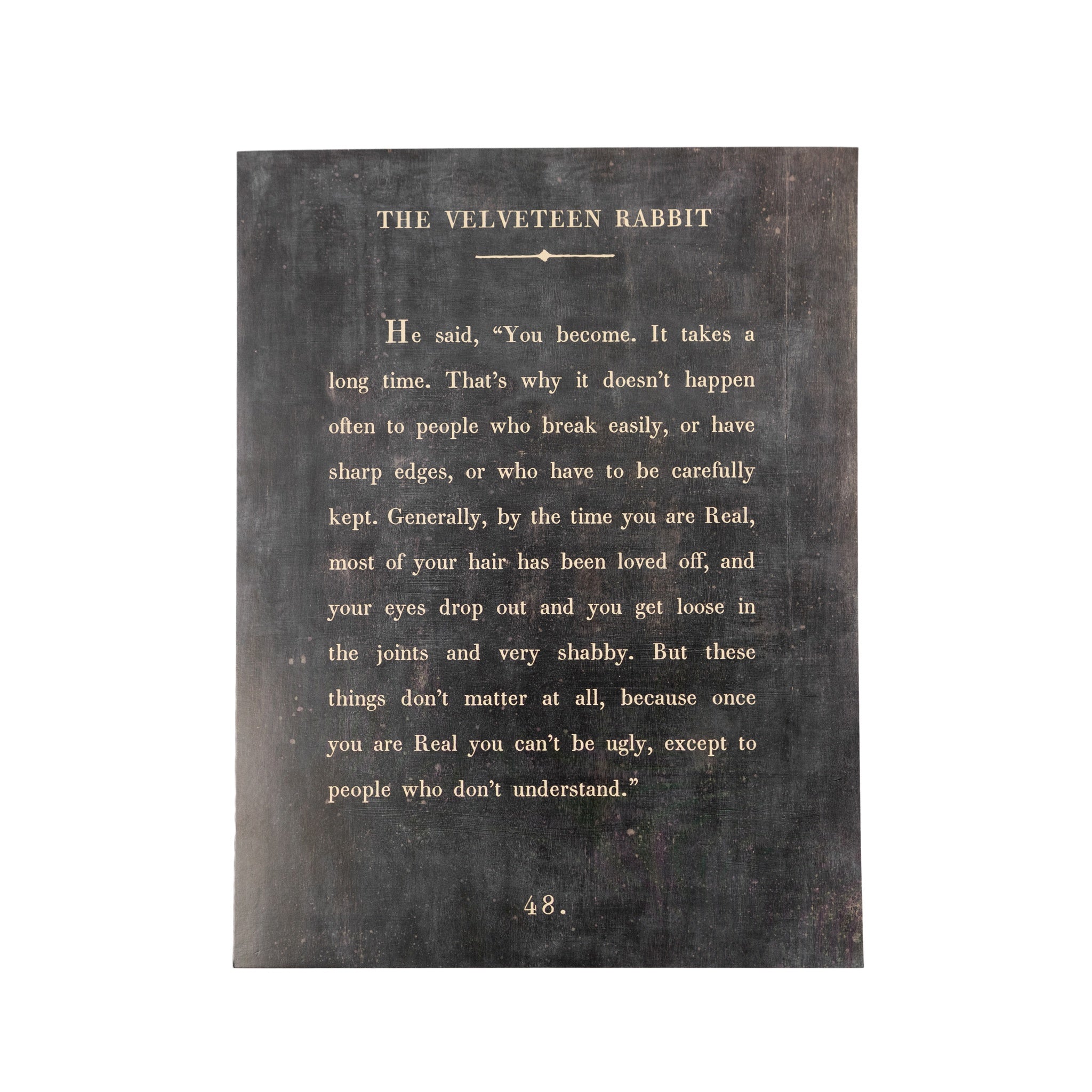 The Velveteen Rabbit Book Collection Art Poster