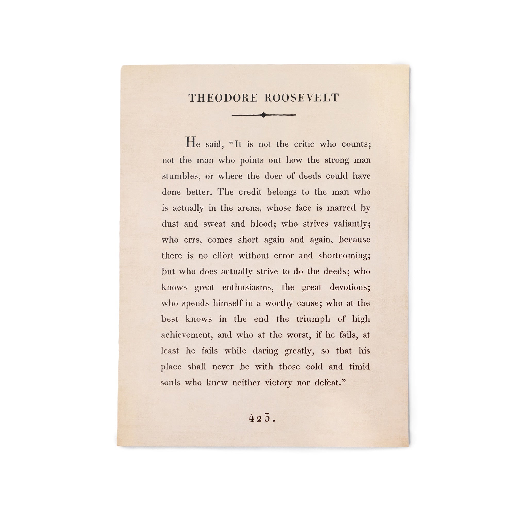 Theodore Roosevelt Book Collection Art Poster
