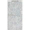 Honey Do List - Art Print