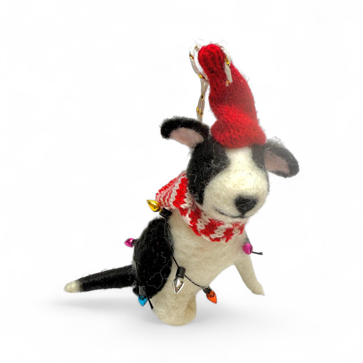 ***Black & white dog with knit red hat, scarf & lights  - Mutley Crew Collection 2