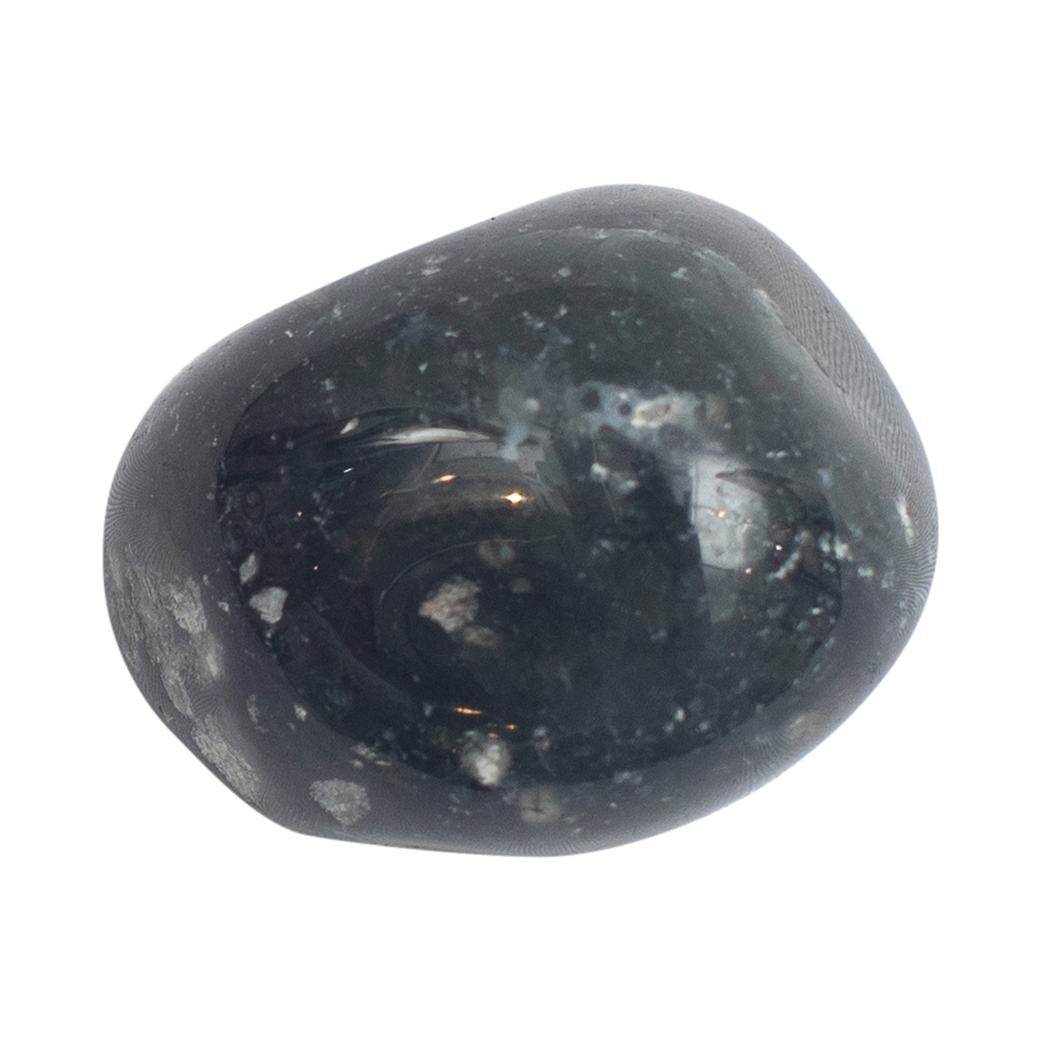 Moss Agate Tumbled Gemstone Single