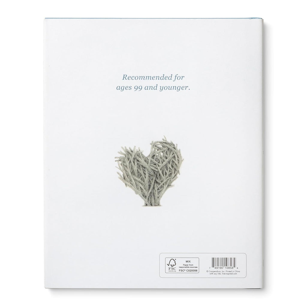 Chasing Dreams Book