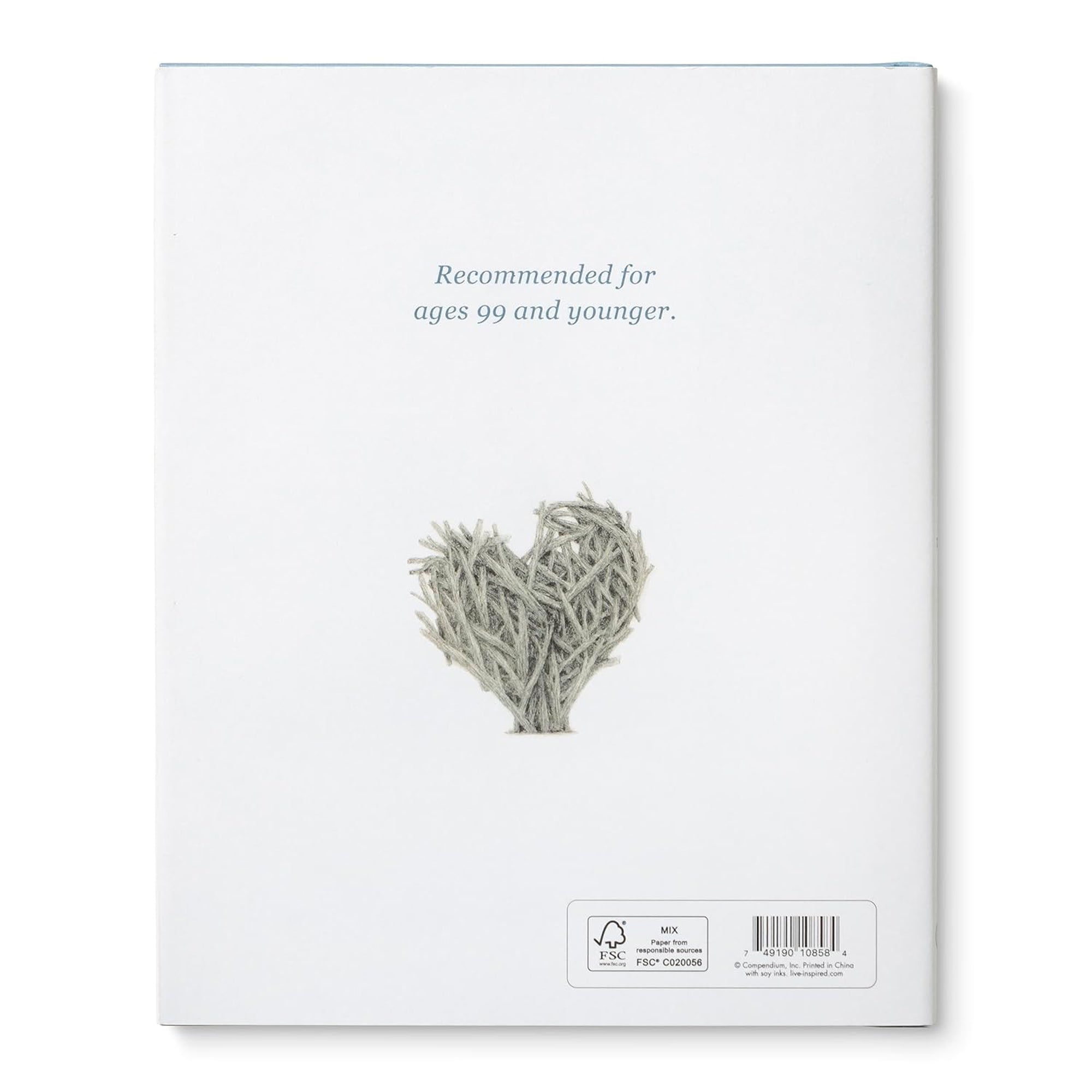 Chasing Dreams Book