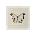 8"x8" White Butterfly - Flora & Fauna Collection