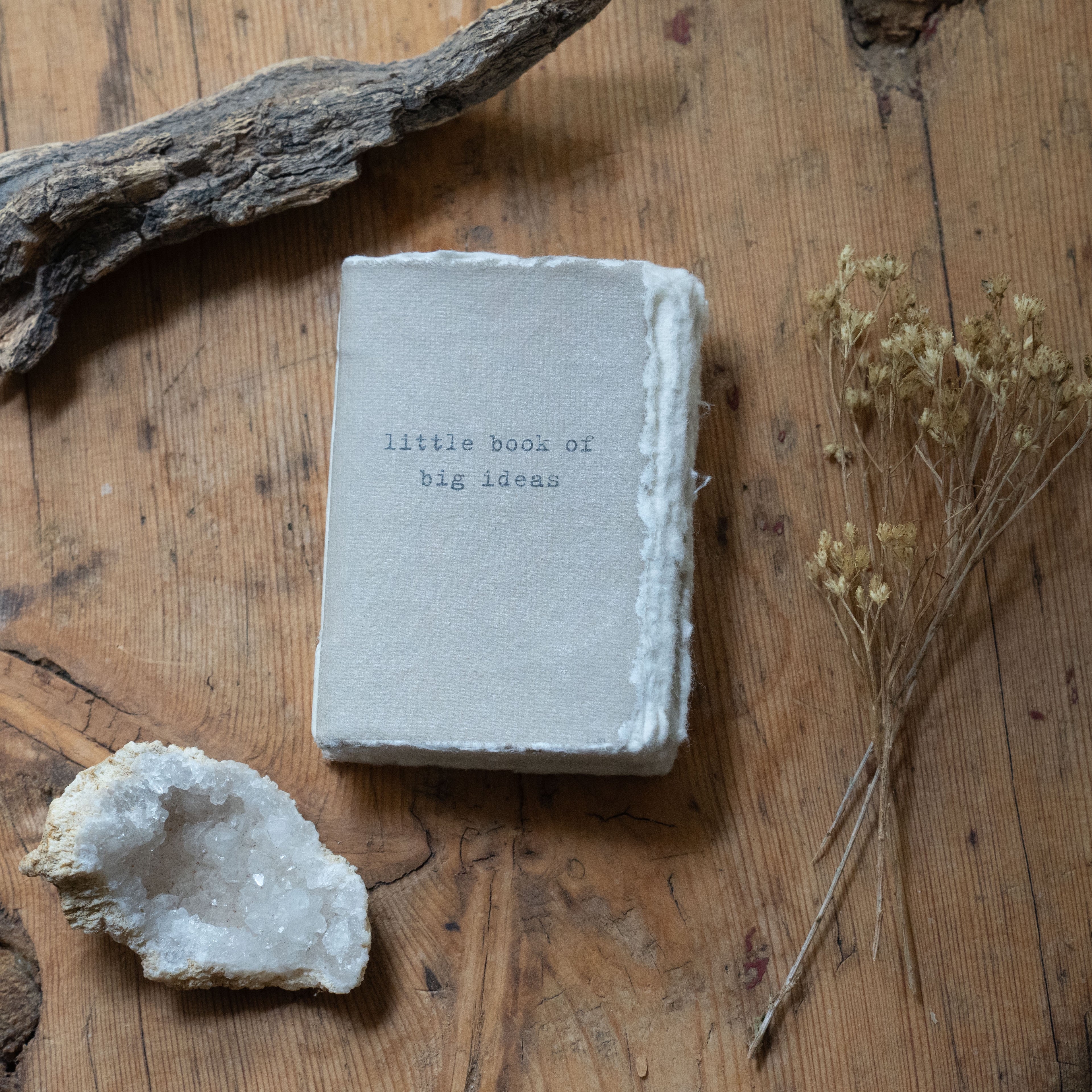 Little Book Of Big Ideas Mini Deckled Edge Notebook - Sage