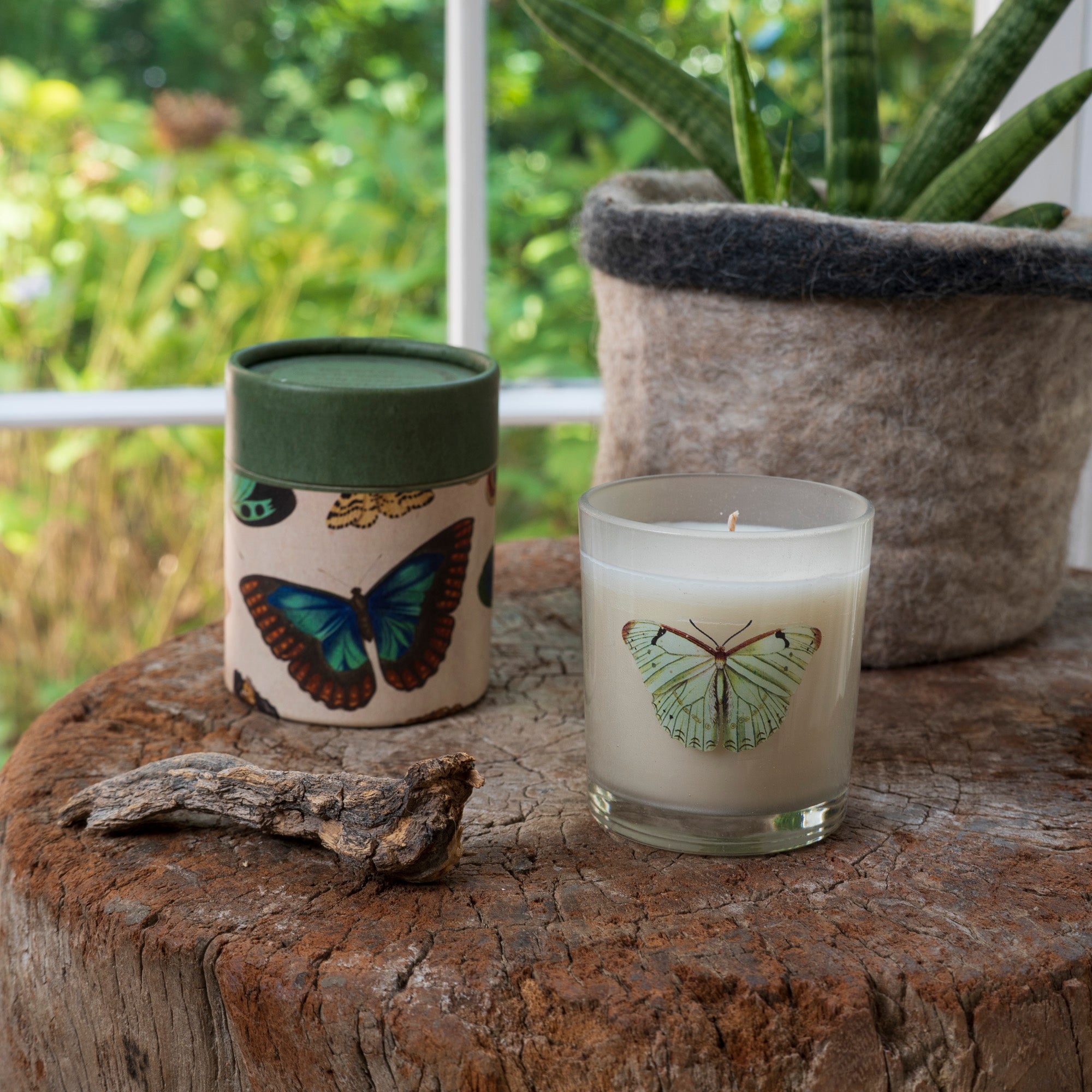 Modern Organic Home Decor | Sugarboo & Co.