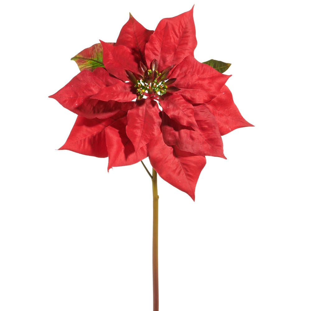 Red Poinsettia Stem, 26"