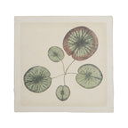 Flora & Fauna 8 x 8