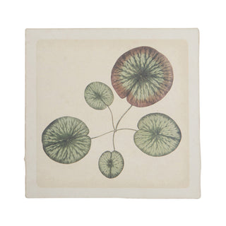 8"x8" Water Lily - Flora & Fauna Collection