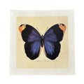11"x11" Blue Butterfly - Flora & Fauna Collection