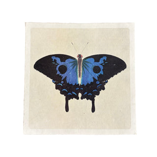 11" x 11" Swallowtail Butterfly - Flora & Fauna Collection