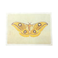 16"x12" Yellow Moth - Flora & Fauna Collection