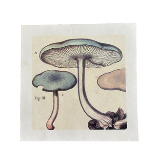 11"x11" Blue Shrooms - Flora & Fauna Collection