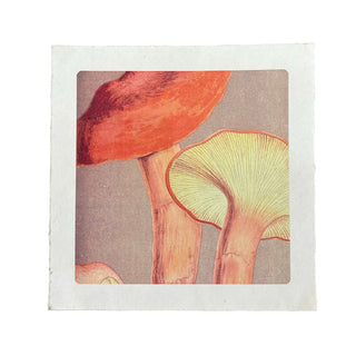 11" x 11 Up & Close Shrooms - Flora & Fauna Collection
