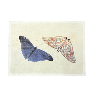 16"x12" Butterfly Duo - Flora & Fauna Collection