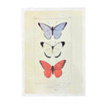 12"x16" Butterfly Trio - Flora & Fauna Collection