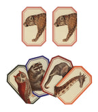Memory Game, Animal Kingdom