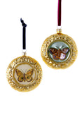 Framed Butterfly Ornament