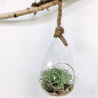 ***Teardrop Hanging Terrarium 5.9"x32.7"
