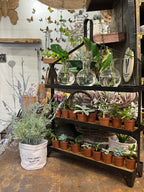 Three Shelf Metal Display