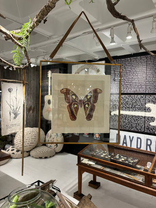 Glass and Brass Metal Wall Hanging Picture Frame with Brown Suede