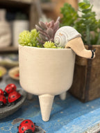 Crawling Snail, Ceramic
