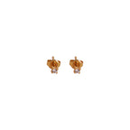 Tiny Earring Collection