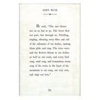 John Muir - Book Collection - Art Print