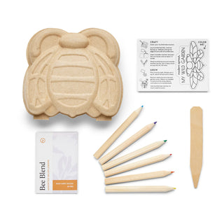 Curious Critters Bee Activity Kit