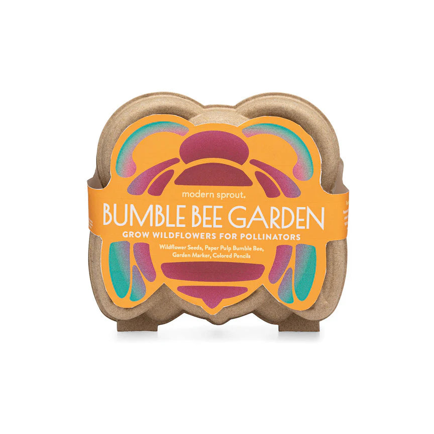 Curious Critters Bee Activity Kit