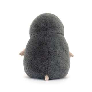 Muswell Mole