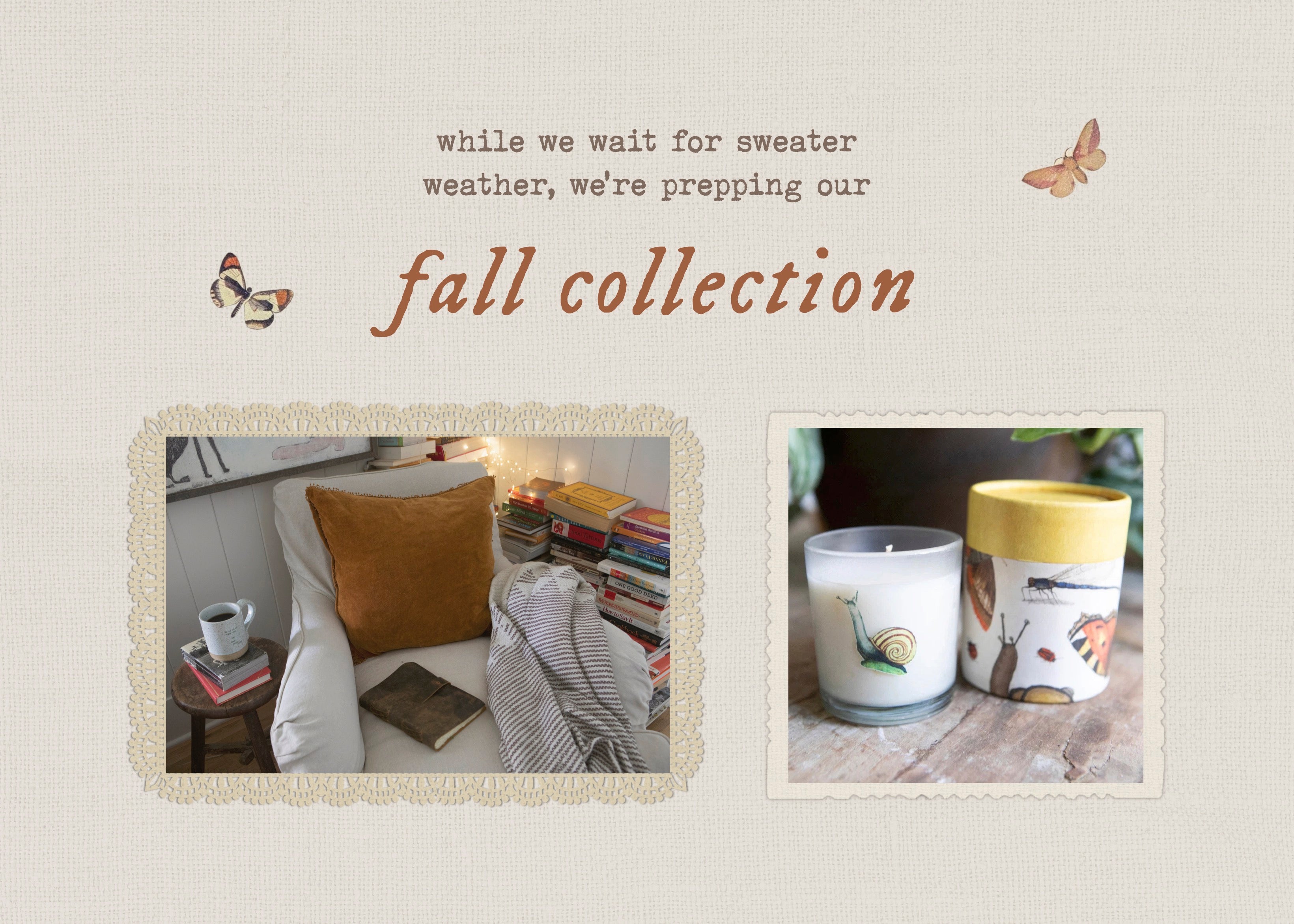Modern Organic Home Decor | Sugarboo & Co.