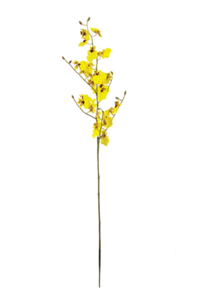 Oncidium Orchid Stem - 36.5"
