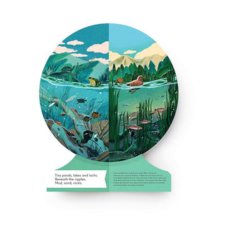 Our Underwater World