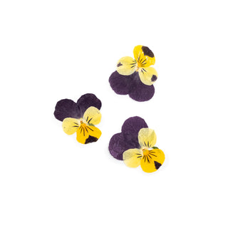 Pressed Pansy Flowers - 3 per package 1"