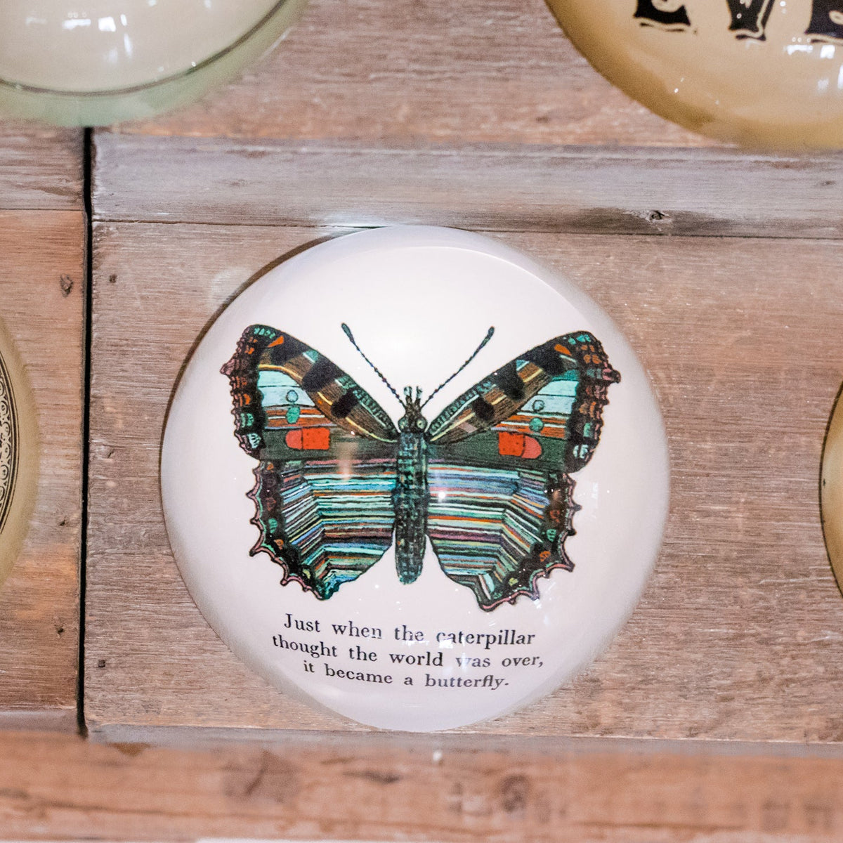 Butterfly Paperweight