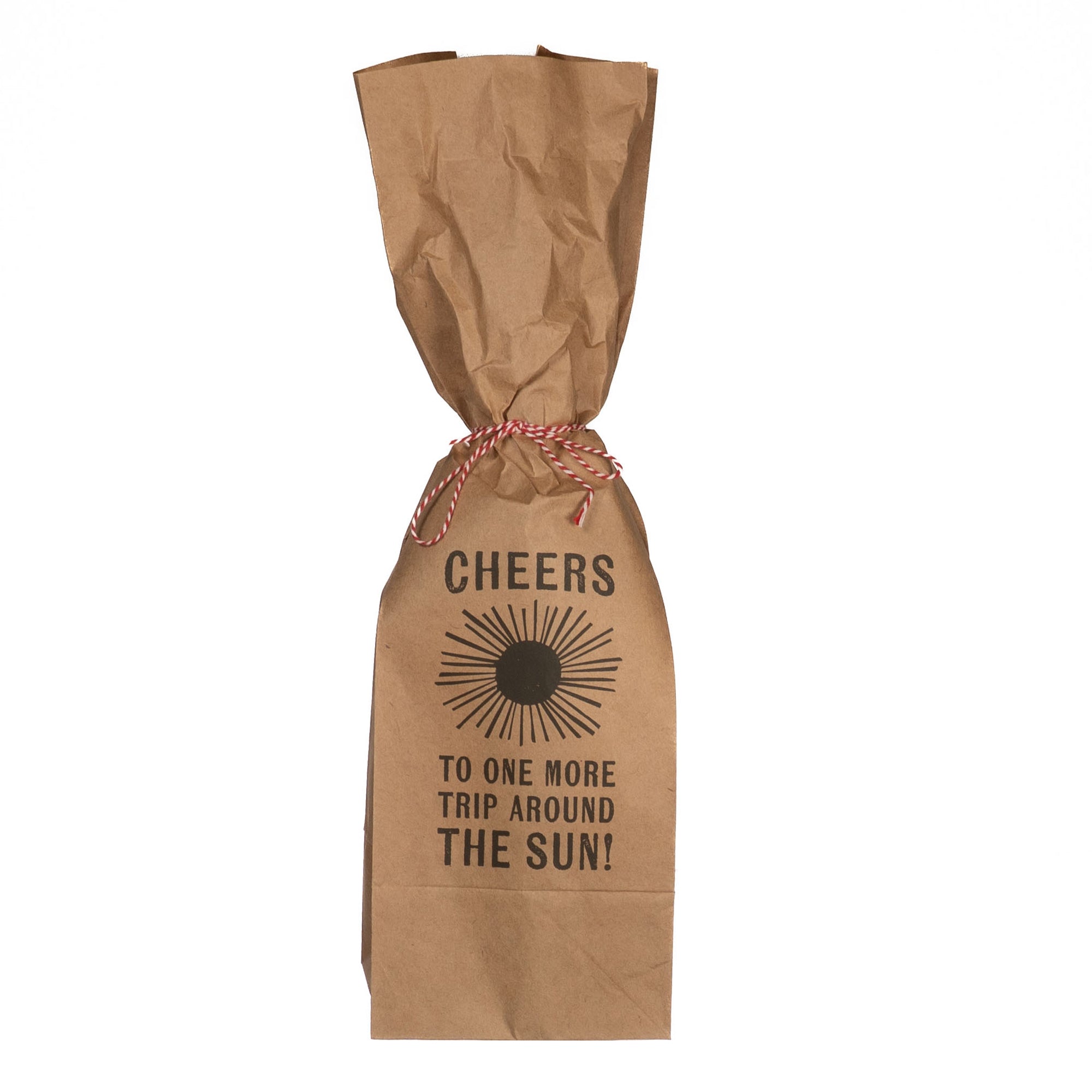 Cheers To One More Trip Around The Sun Paper Wine Bag