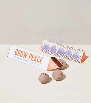 Bright Side Seed Balls- grow peace