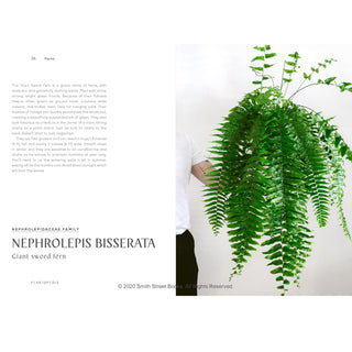 Plantopedia: The Definitive Guide to Houseplants
