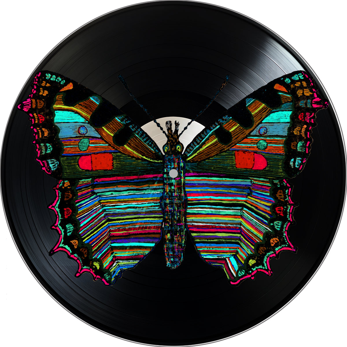 Butterfly Vinyl Record – Sugarboo & Co