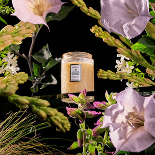 Jasmine Midnight Blooms, 5.5 oz