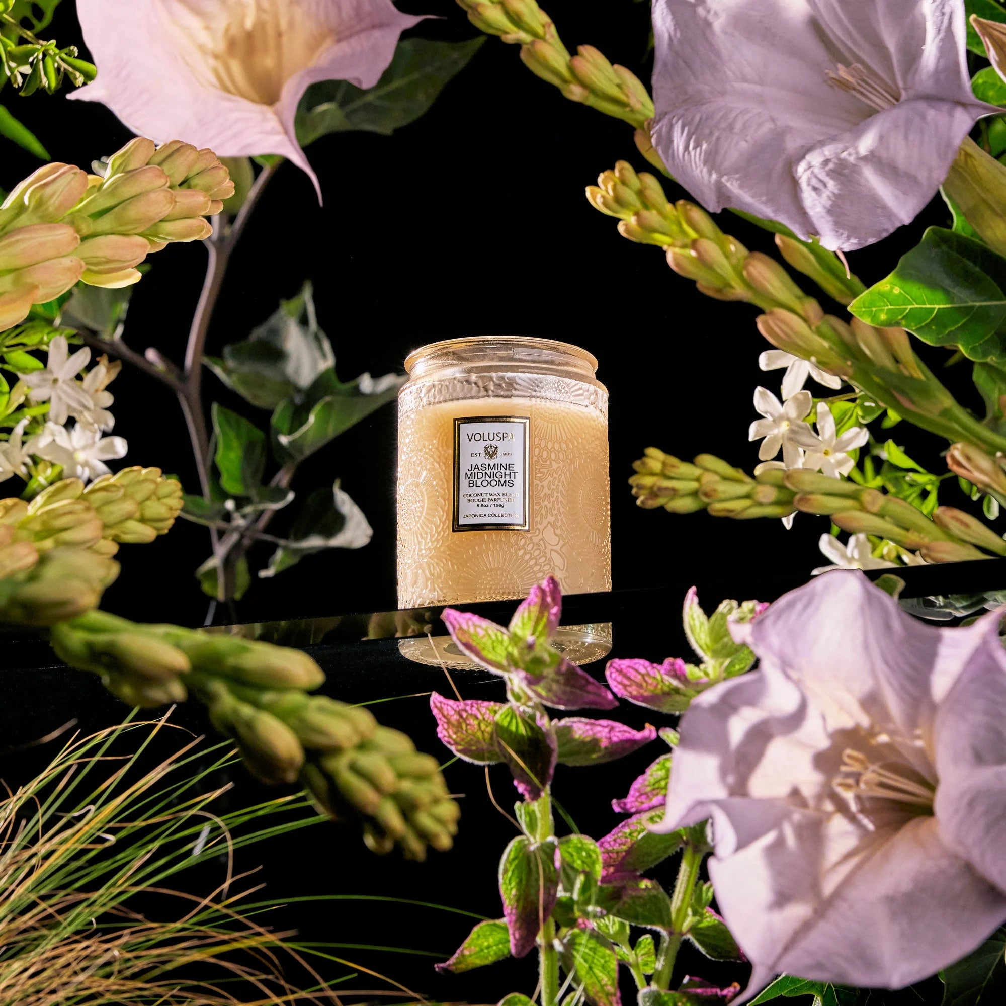 Jasmine Midnight Blooms, 5.5 oz
