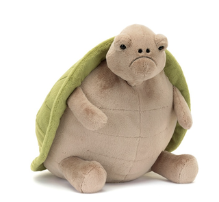Timmy Turtle Big
